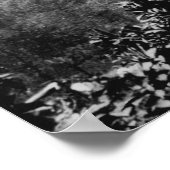 Nuuanu Valley, Hawaii - Uitzicht van de onderste H Poster (Hoek)