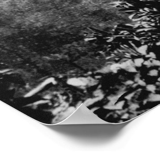 Nuuanu Valley, Hawaii - Uitzicht van de onderste H Poster (Hoek)