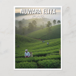 Nuwara Eliya Tea Plantation Sri Lanka Briefkaart