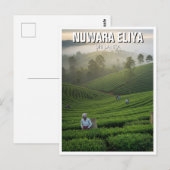 Nuwara Eliya Tea Plantation Sri Lanka Briefkaart (Voorkant / Achterkant)