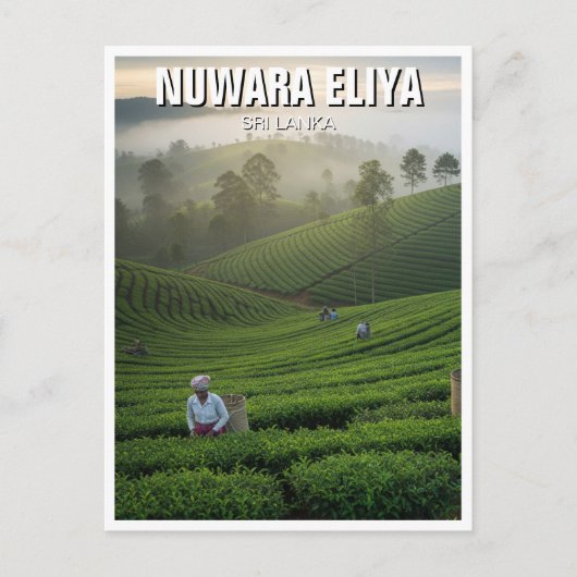 Nuwara Eliya Tea Plantation Sri Lanka Briefkaart (Voorkant)