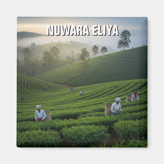 Nuwara Eliya Tea Plantation Sri Lanka Magneet (Voorkant)