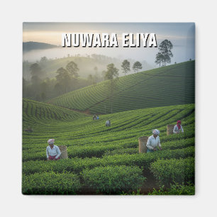 Nuwara Eliya Theeplantage Sri Lanka Magneet