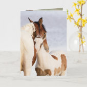 Nuzzle Wild Horse Wenskaart Kaart (Gele Bloem)
