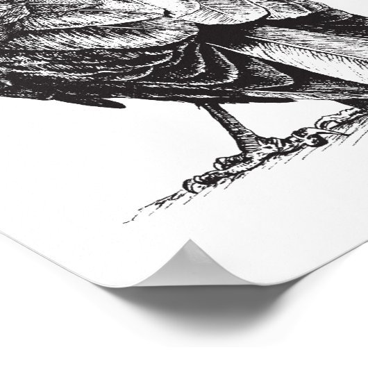 NW Crow Poster (Hoek)