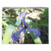 NY door foto's Kalender (Hoes)