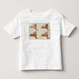 NY-neerslag, populatie, hoogte, temperatuur Kinder Shirts