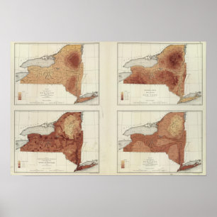 NY-neerslag, populatie, hoogte, temperatuur Poster