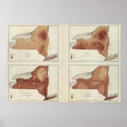 NY-neerslag, populatie, hoogte, temperatuur Poster (Voorkant)