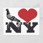 NY Pigeon Briefkaart (Voorkant)