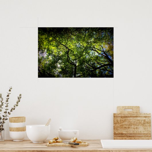 NY Trees Poster (Keuken)