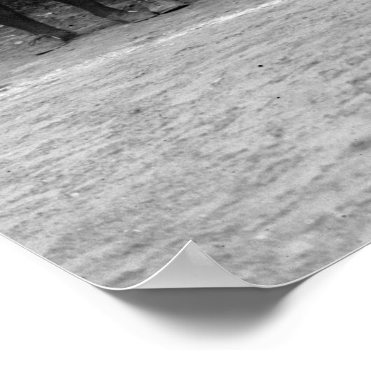 NY Vrouw Giants Baseball, 1913 Poster (Hoek)