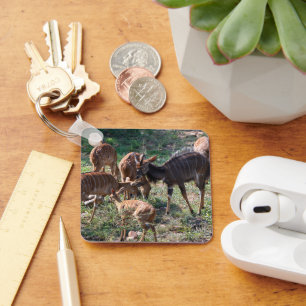 Nyala, Gestreepte Antilope met Stijl Sleutelhanger