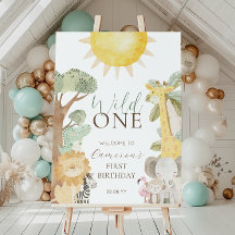 Nyala Safari Dieren Wild Een Eerste Verjaardag