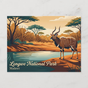 Nyala spotten, Lengwe National Park Malawi Briefkaart