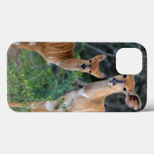 Nyala (Tragelaphus Angazii) met jong, Ndumo Case-Mate iPhone Case (Achterkant (horizontaal))