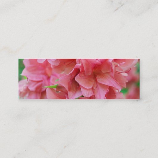 NYBG: nr. 116 Mini Visitekaartje (Voorkant)