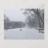 NYC Blizzard Upper West Side Riverside Park Sneeuw Briefkaart (Voorkant)