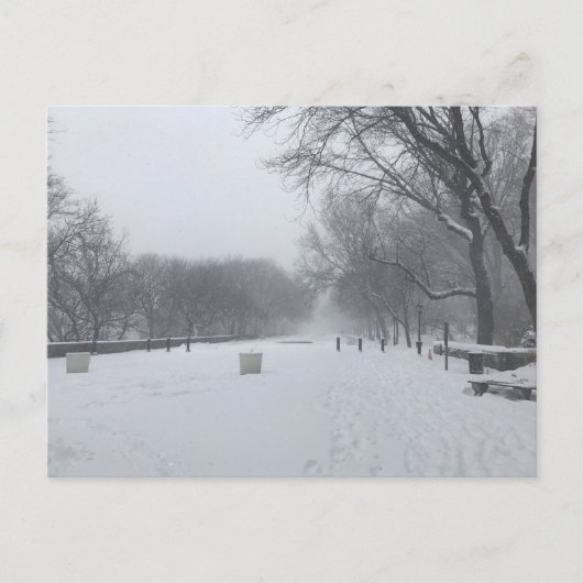 NYC Blizzard Upper West Side Riverside Park Sneeuw Briefkaart (Voorkant)