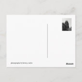 NYC Bryant Park Building Briefkaart (Achterkant)