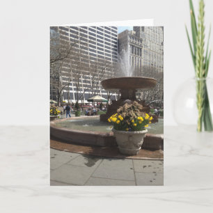 NYC Bryant Park Fountain Daffodils New York Spring Kaart