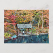 NYC Central Park Autumn, The Lake & Little Dock Briefkaart (Voorkant)
