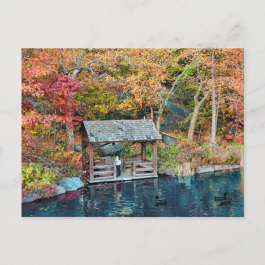 NYC Central Park Autumn, The Lake & Little Dock Briefkaart (Voorkant)