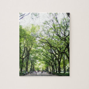 NYC Central Park Tree Tunnel Legpuzzel