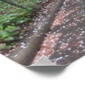 NYC Conservatory Garden Central Park New York Poster (Hoek)