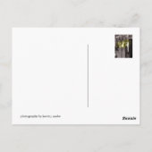 NYC-gebouw Briefkaart (Achterkant)