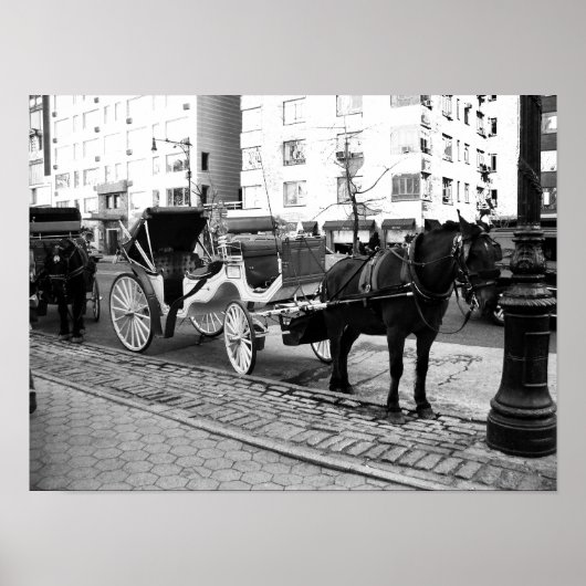 NYC Horse and Carriage Black White Photo Poster (Voorkant)