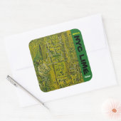 NYC LIME KUSH VIERKANTE STICKER (Envelop)