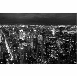 NYC STAAND FOTOBEELDJE 