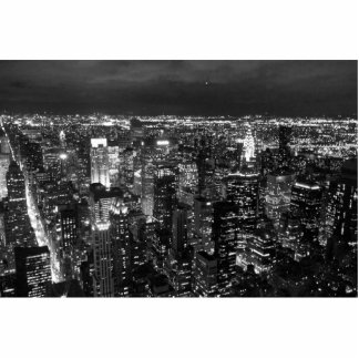 NYC STAAND FOTOBEELDJE