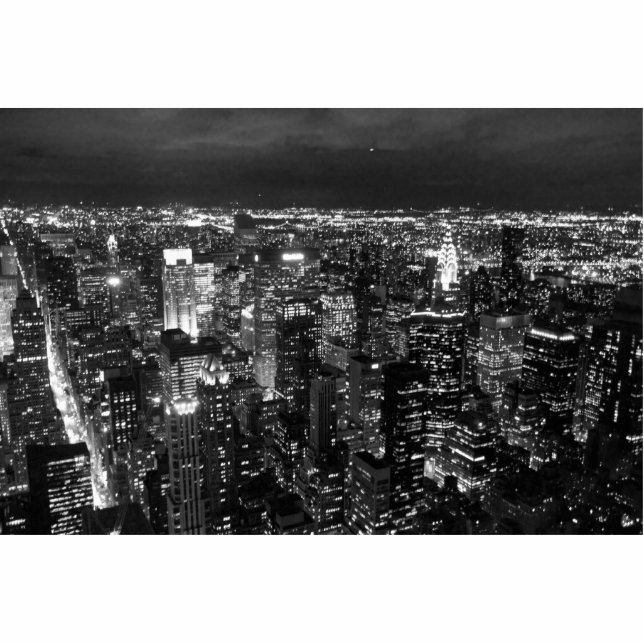 NYC STAAND FOTOBEELDJE  (Voorkant)