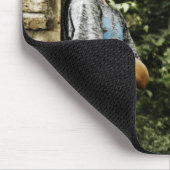 NYKKY MUISMAT (Hoek)