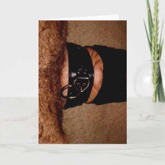 NYLON EN KRAAG FEESTDAGEN KAART (Voorkant)