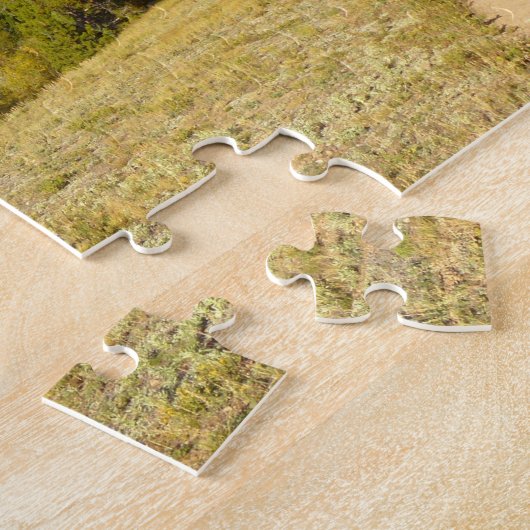 Nymph Lake Trail in de vroege herfst Legpuzzel (Zijkant)