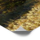 Nymph Lake Trail in de vroege herfst Poster (Hoek)