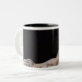 Nymph met een Shell, 1683-85 Tweekleurige Koffiemok (Voorkant links)