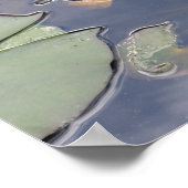 Nymphaea Gloriosa Poster (Hoek)