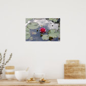 Nymphaea Gloriosa Poster (Keuken)