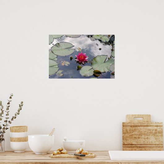 Nymphaea Gloriosa Poster (Keuken)