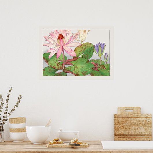 Nymphaea Lotus #1, Roze, Lily Pad, Tanigami Konan Poster (Keuken)