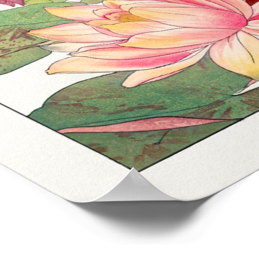 Nymphaea lotus, Bloem Poster (Hoek)