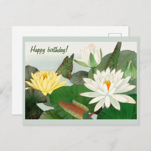 Nymphaea lotus, Gefeliciteerd  Briefkaart (Voorkant / Achterkant)