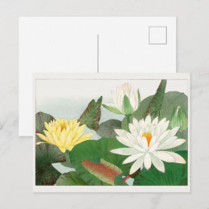Nymphaea lotus, Japanse houtsnede, 1917 Briefkaart
