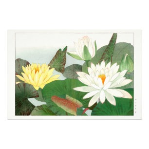 Nymphaea lotus, Japanse houtsnede, 1917 Foto Afdruk