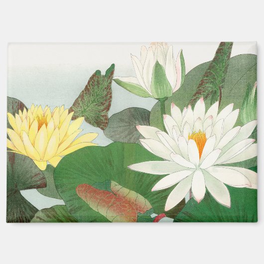 Nymphaea lotus, Japanse houtsnede, 1917 Magneet (Voorkant)