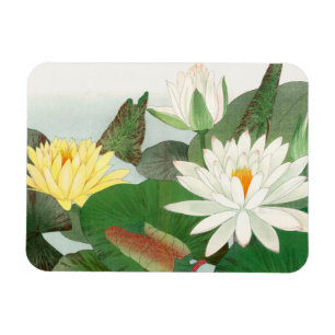 Nymphaea lotus, Japanse houtsnede, 1917 Magneet